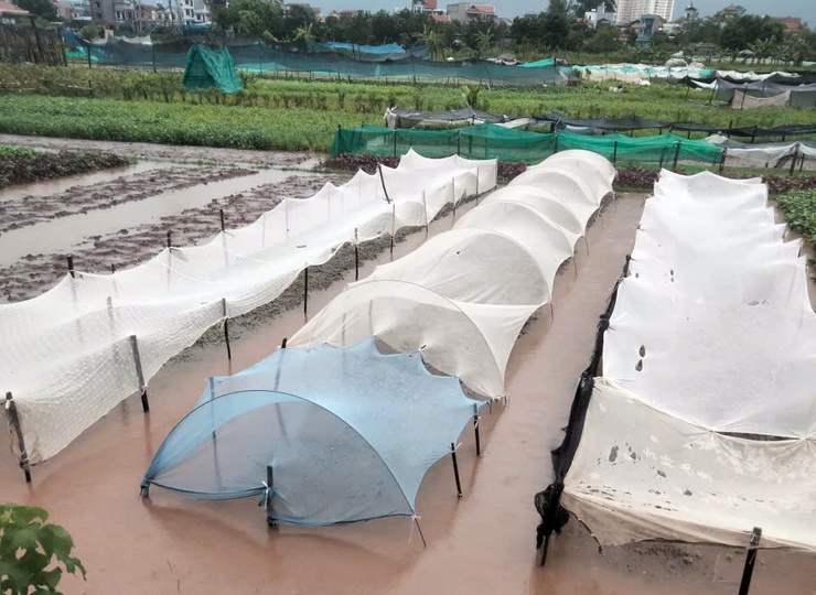 UBND phường Chương Mỹ chủ động triển khai các biện pháp ứng phó với bão và mưa lớn- Ảnh 3.
