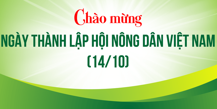 Hội Nông dân phường Chương Mỹ vững bước trên chặng đường mới- Ảnh 1.