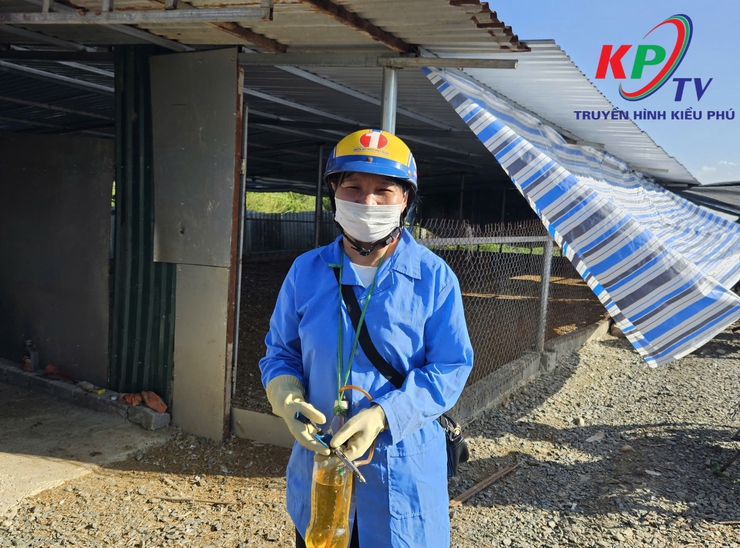 UBND xã Kiều Phú tổ chức tiêm phòng dịch bệnh đợt 2 cho đàn gia súc, gia cầm trên địa bàn- Ảnh 4.