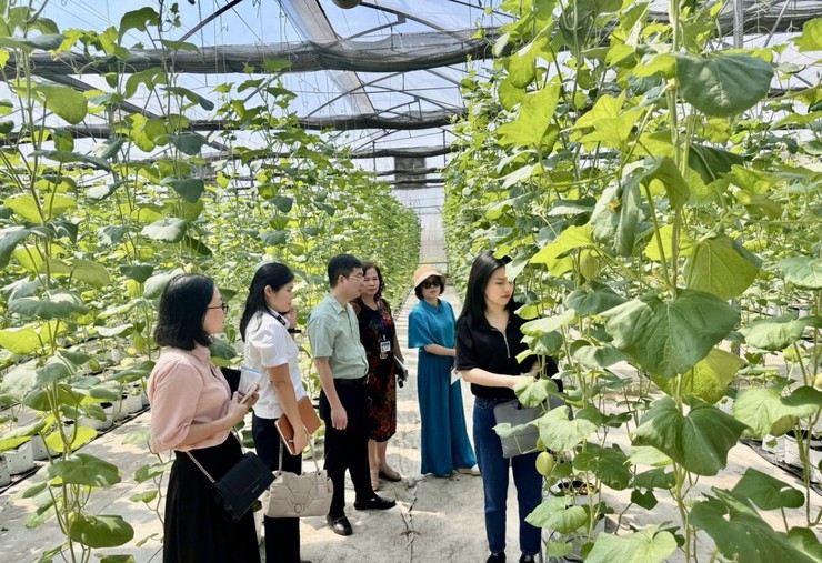 Bếp ăn bán trú an toàn nhìn từ những "không gian" bếp tại phường Tây Hồ- Ảnh 8.