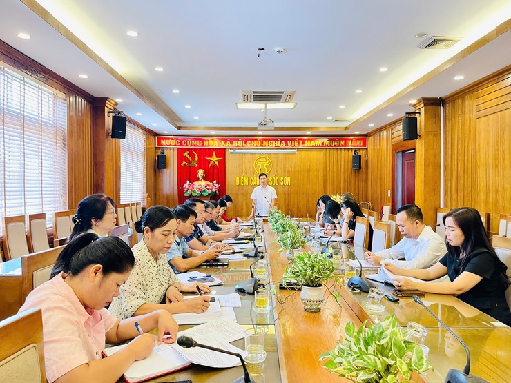 THƯỜNG TRỰC HĐND XÃ SÓC SƠN TỔ CHỨC PHIÊN HỌP THÁNG 10 NĂM 2025- Ảnh 2.