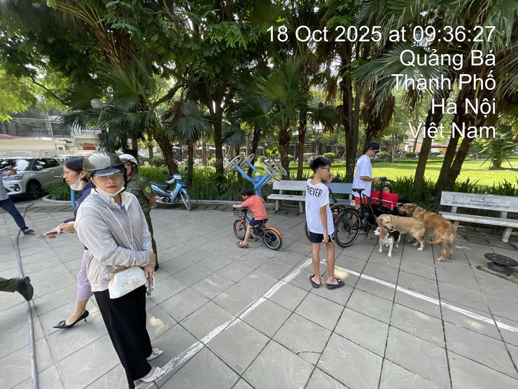 Phường Tây Hồ ra quân bắt chó thả rông, không rọ mõm - Ảnh 2.