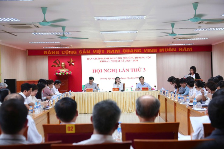 Ban Chấp hành Đảng bộ phường Dương Nội tổ chức thành công Hội nghị lần thứ ba- Ảnh 1.