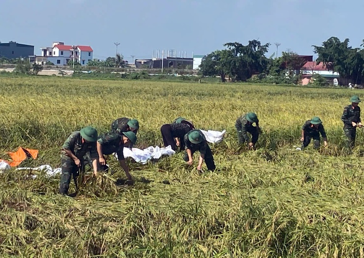 260 cán bộ, chiến sĩ công an, quân đội giúp nhân dân xã Trần Phú gặt lúa- Ảnh 8.