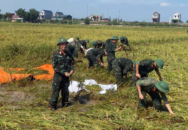 260 cán bộ, chiến sĩ công an, quân đội giúp nhân dân xã Trần Phú gặt lúa- Ảnh 11.