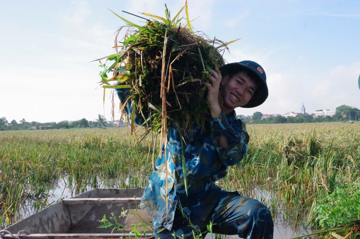 Hơn 50 cán bộ, chiến sĩ Trường Cao đẳng kỹ thuật Phòng không không quân hỗ trợ Nhân dân xã Thanh Oai thu hoạch lúa mùa- Ảnh 6.