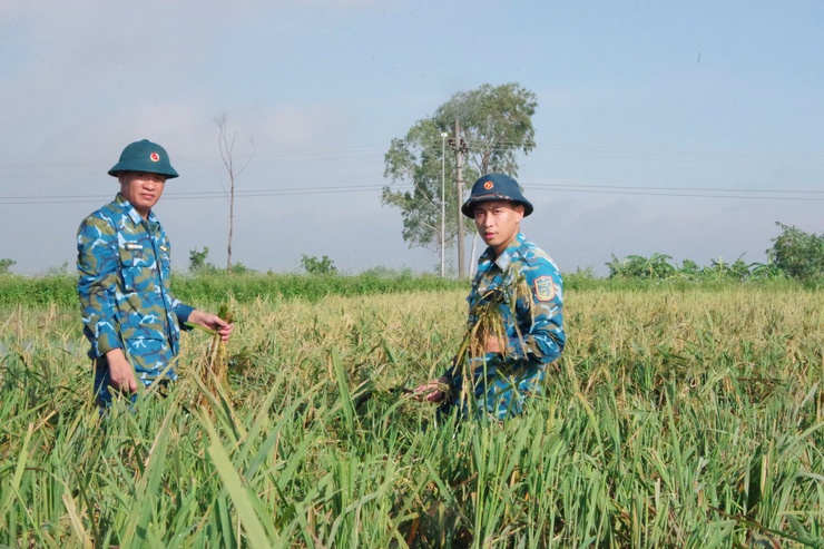 Hơn 50 cán bộ, chiến sĩ Trường Cao đẳng kỹ thuật Phòng không không quân hỗ trợ Nhân dân xã Thanh Oai thu hoạch lúa mùa- Ảnh 4.