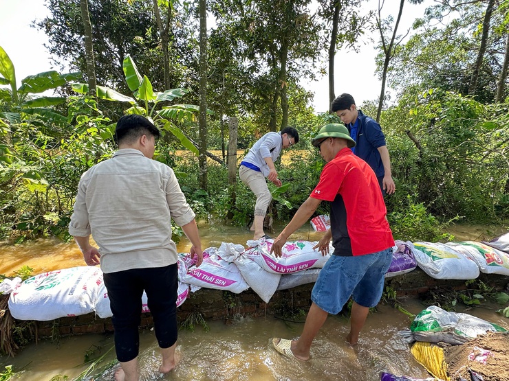 XÃ THANH TRÌ: CHÍNH QUYỀN VÀ NHÂN DÂN ĐỒNG LÒNG KHẮC PHỤC ẢNH HƯỞNG DO BÃO SỐ 10 (BUALOI) GÂY RA- Ảnh 7.