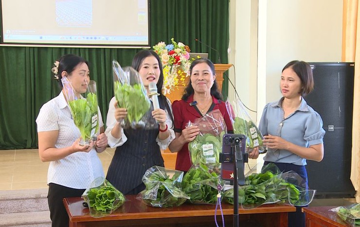Xã Phúc Lộc tổ chức Livestream giới thiệu sản phẩm rau an toàn- Ảnh 1.