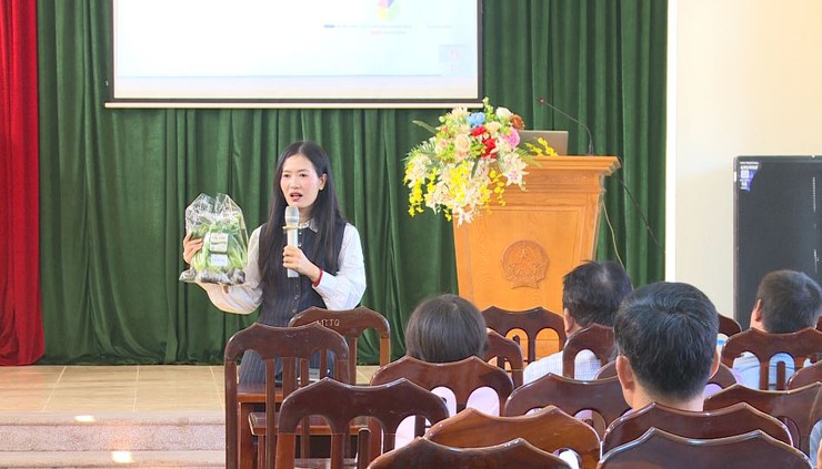 Xã Phúc Lộc tổ chức Livestream giới thiệu sản phẩm rau an toàn- Ảnh 4.