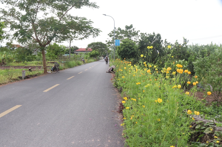 Kiểm tra, chấm điểm phong trào “Sáng - Xanh - Sạch - Đẹp” tháng 10/2025- Ảnh 7.