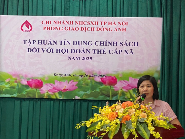 HỘI NGHỊ TẬP HUẤN NGHIỆP VỤ NHẬN ỦY THÁC CHO HỘI ĐOÀN THỂ XÃ VĨNH THANH, THIÊN LỘC, PHÚC THỊNH- Ảnh 1.