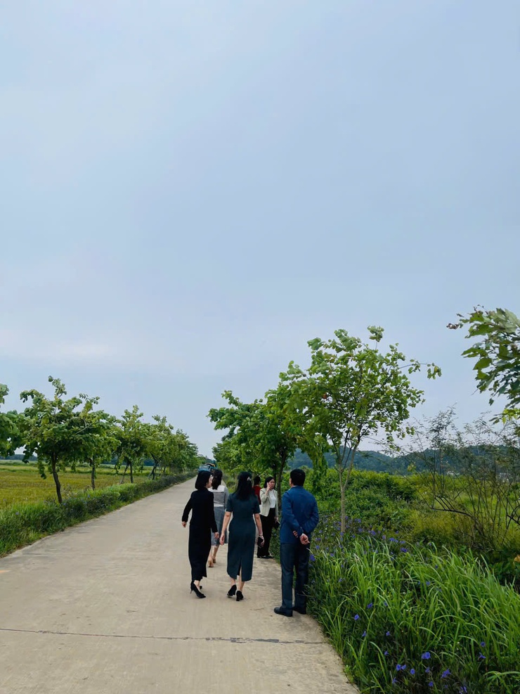 Xã Sóc Sơn Tổ Chức Chấm Vòng Chung Khảo Phong Trào "Sáng - Xanh - Sạch - Đẹp - An toàn" Năm 2025.- Ảnh 3.
