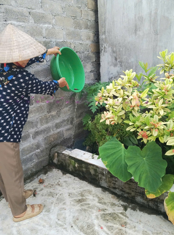 Trần Phú: tiếp tục tổ chức Tổng vệ sinh môi trường, phòng chống dịch bệnh sốt xuất huyết- Ảnh 1.
