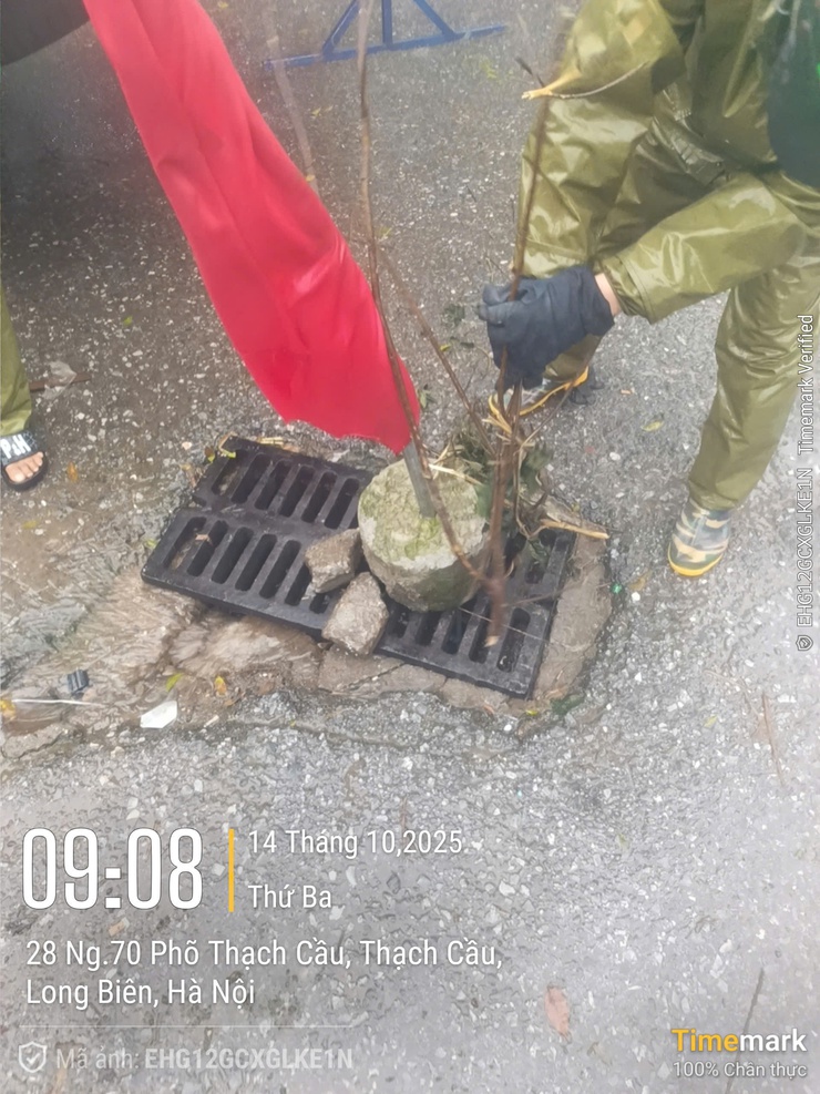 Xử lý hiệu quả các kiến nghị về Trật tự đô thị tuần 42- Ảnh 2.