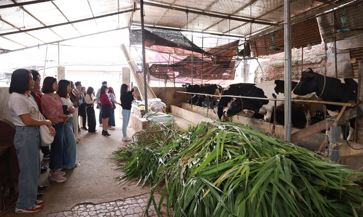 Minh Châu – điểm đến du lịch mới giữa lòng Thủ đô- Ảnh 2.