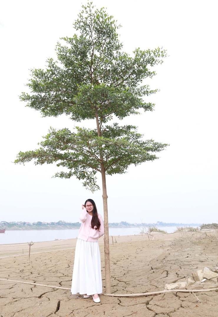 Minh Châu – điểm đến du lịch mới giữa lòng Thủ đô- Ảnh 6.