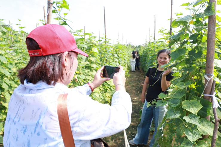 Minh Châu – điểm đến du lịch mới giữa lòng Thủ đô- Ảnh 9.