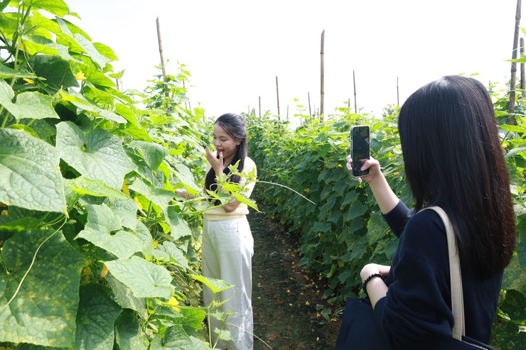 Minh Châu – điểm đến du lịch mới giữa lòng Thủ đô- Ảnh 10.