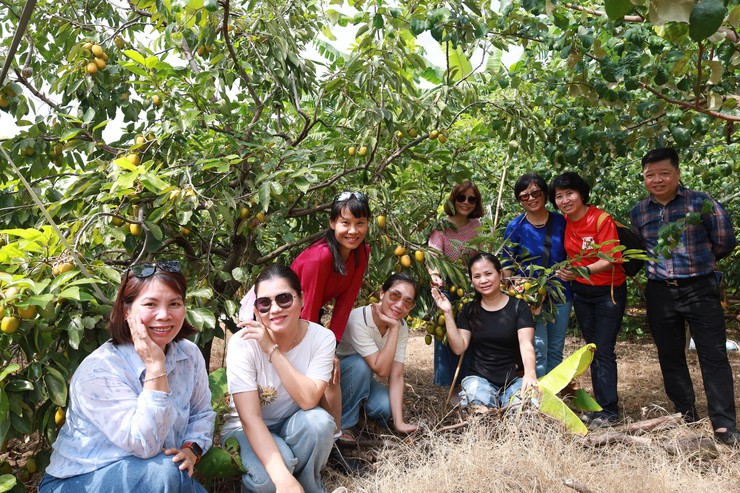 Minh Châu – điểm đến du lịch mới giữa lòng Thủ đô- Ảnh 11.