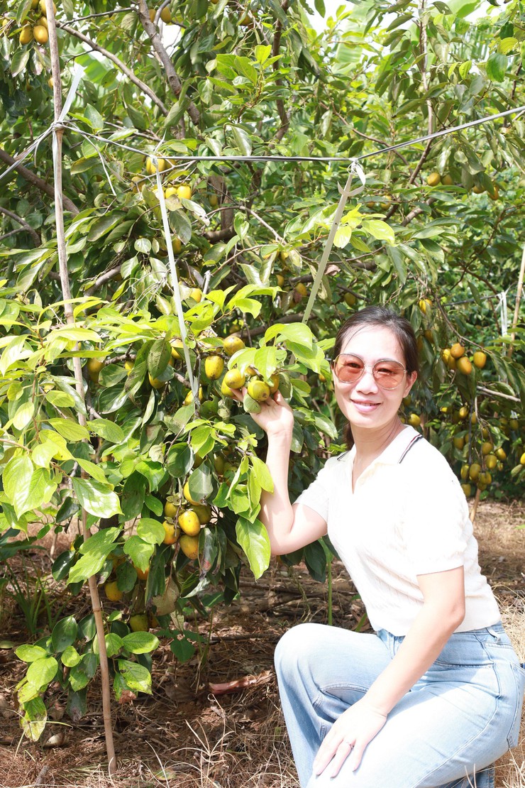 Minh Châu – điểm đến du lịch mới giữa lòng Thủ đô- Ảnh 13.