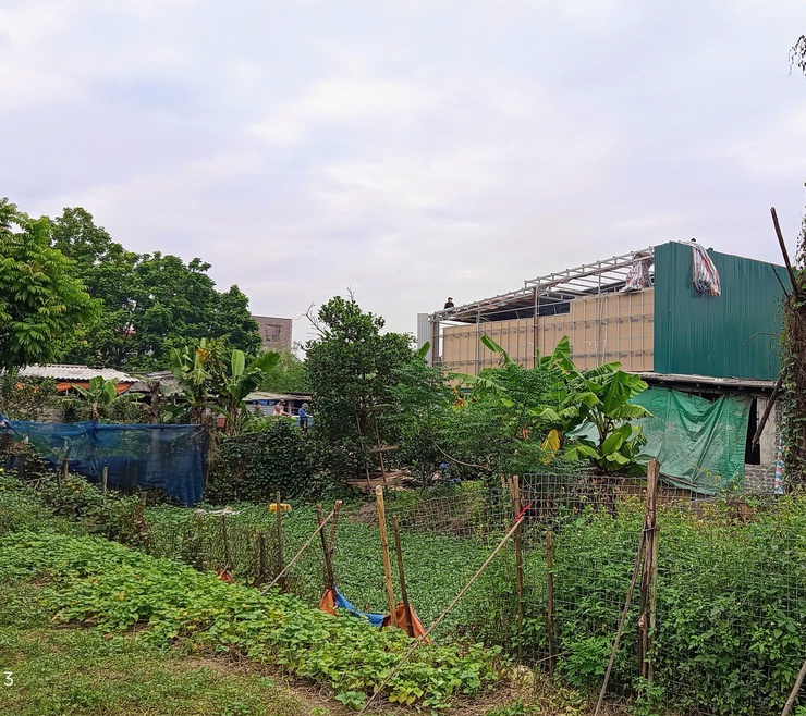 UBND xã Tam Hưng tổ chức cưỡng chế, buộc thực hiện biện pháp khắc phục hậu quả các công trình vi phạm trật tự xây dựng- Ảnh 14.