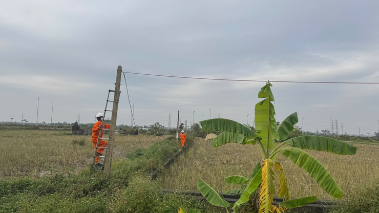 UBND xã Tam Hưng tổ chức cưỡng chế, buộc thực hiện biện pháp khắc phục hậu quả các công trình vi phạm trật tự xây dựng- Ảnh 10.