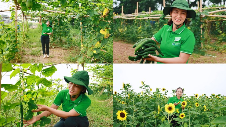 Hội Nông dân xã Minh Châu: Khởi nguồn sức mạnh Nông dân thời đại mới- Ảnh 3.