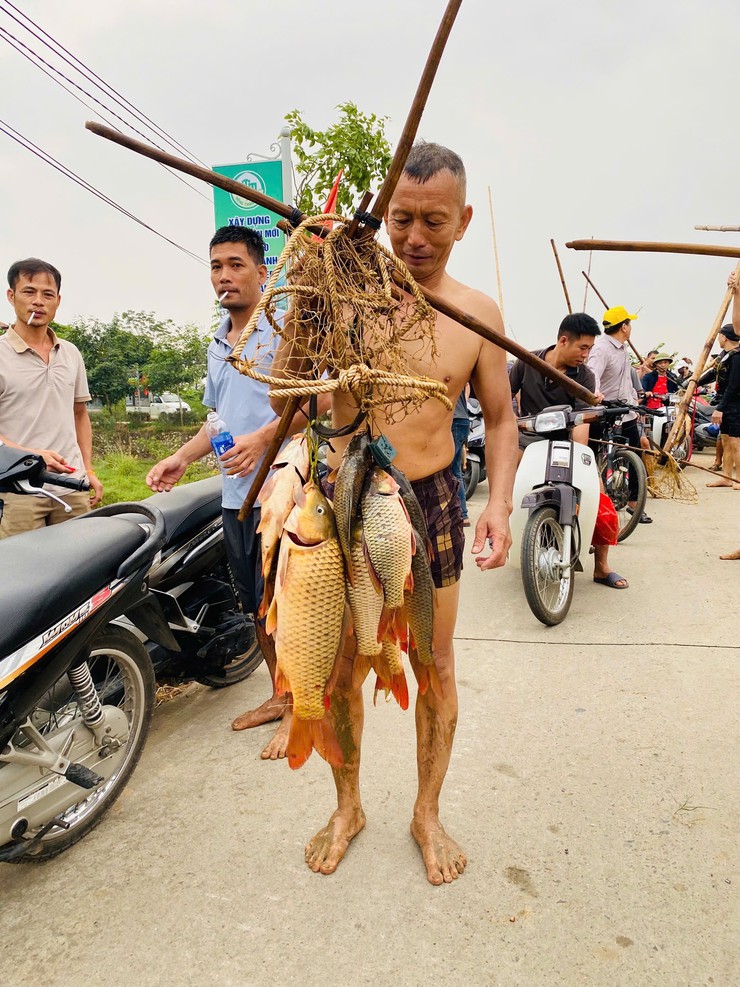 Độc đáo "nghề" bắt cá bằng dập sào ở Phúc Thọ- Ảnh 3.