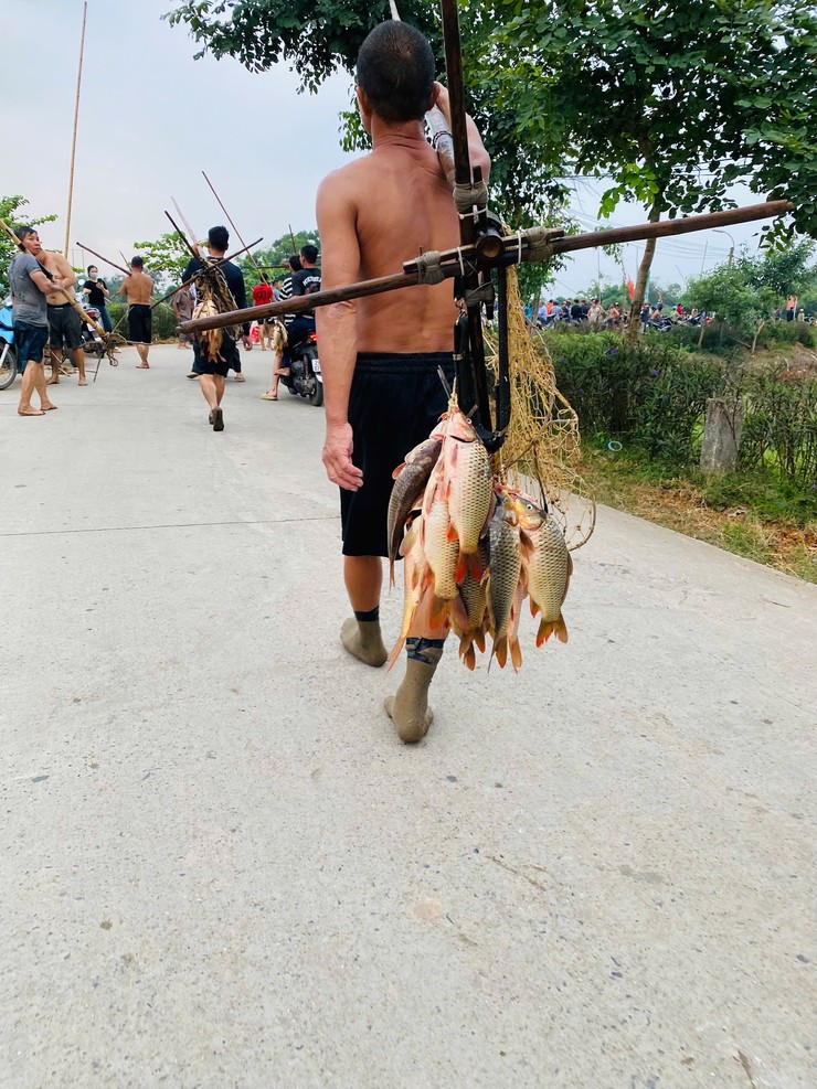 Độc đáo "nghề" bắt cá bằng dập sào ở Phúc Thọ- Ảnh 5.