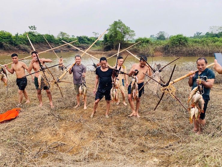 Độc đáo "nghề" bắt cá bằng dập sào ở Phúc Thọ- Ảnh 1.