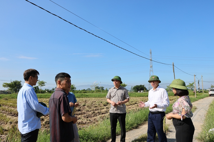 Ủy ban nhân dân xã Phú Nghĩa tổ chức thăm đồng đánh giá năng suất vụ Mùa năm 2025- Ảnh 3.