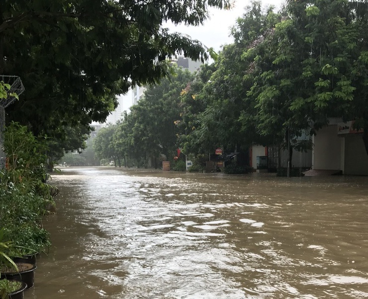 Phường Dương Nội triển khai phương án phòng, chống bão số 11 theo phương châm bốn tại chỗ- Ảnh 2.