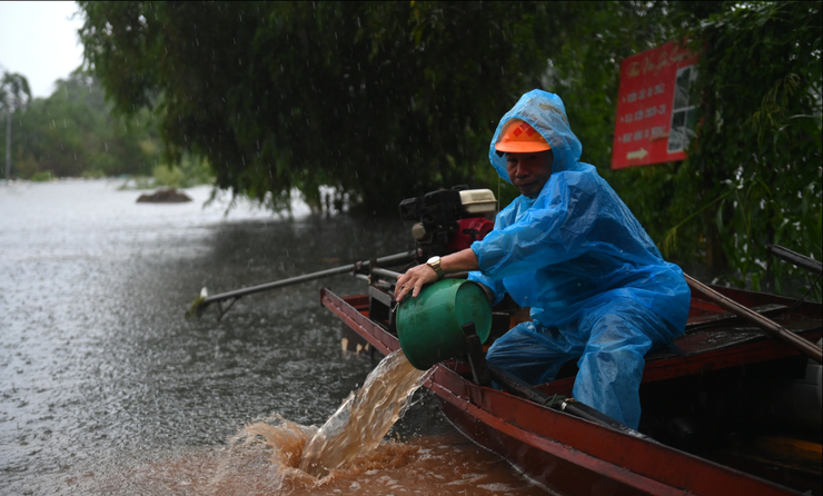 Nước sông Hồng lên cao, cô lập bãi giữa, ngập trắng hoa màu- Ảnh 7.
