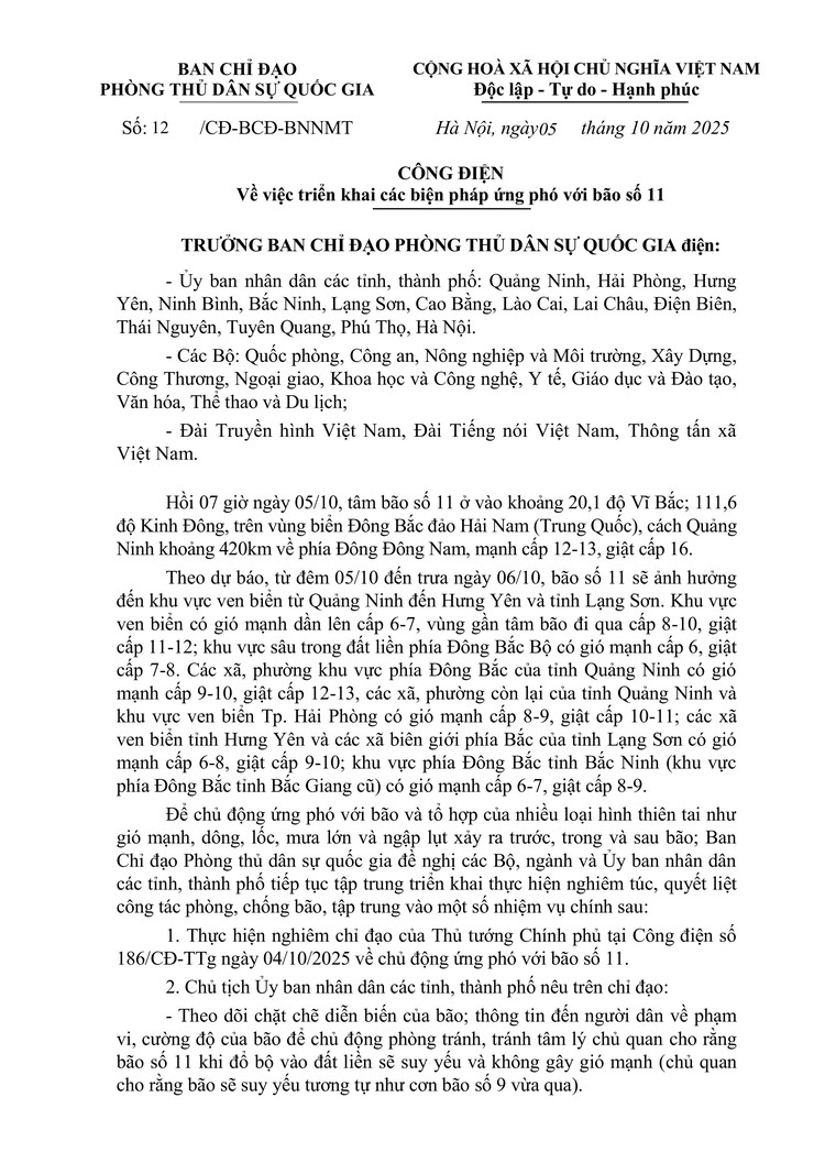 Công điện về việc triển khai các biện pháp ứng phó với bão số 11- Ảnh 1.