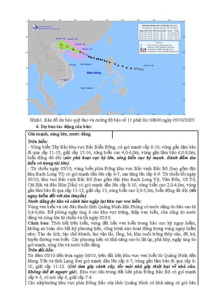 Tin bão Khẩn cấp- Ảnh 2.