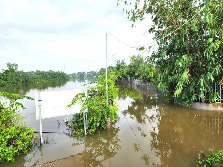 NƯỚC SÔNG CÀ LỒ TIẾP TỤC DÂNG CAO, MỘT SỐ CẢNH BÁO CHO NHÂN DÂN TRONG VÙNG NGẬP LỤT- Ảnh 6.