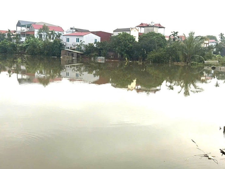 NƯỚC SÔNG CÀ LỒ TIẾP TỤC DÂNG CAO, MỘT SỐ CẢNH BÁO CHO NHÂN DÂN TRONG VÙNG NGẬP LỤT- Ảnh 9.