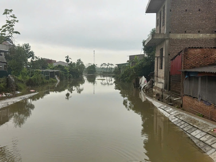 NƯỚC SÔNG CÀ LỒ TIẾP TỤC DÂNG CAO, MỘT SỐ CẢNH BÁO CHO NHÂN DÂN TRONG VÙNG NGẬP LỤT- Ảnh 10.