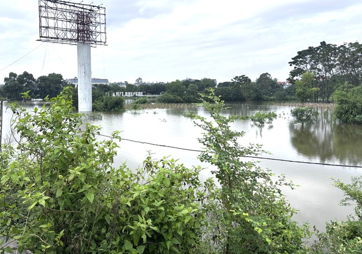 NƯỚC SÔNG CÀ LỒ TIẾP TỤC DÂNG CAO, MỘT SỐ CẢNH BÁO CHO NHÂN DÂN TRONG VÙNG NGẬP LỤT- Ảnh 11.
