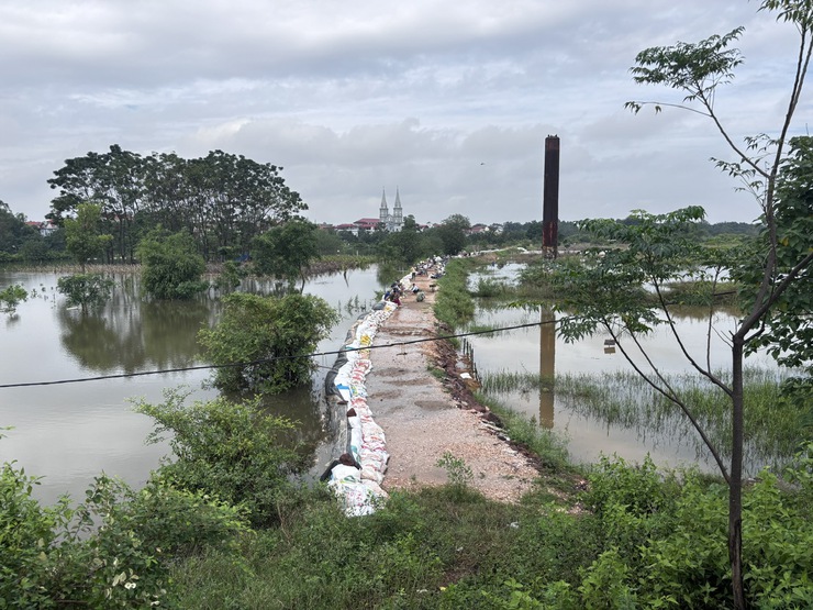 NƯỚC SÔNG CÀ LỒ TIẾP TỤC DÂNG CAO, MỘT SỐ CẢNH BÁO CHO NHÂN DÂN TRONG VÙNG NGẬP LỤT- Ảnh 12.