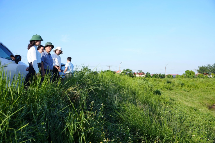 Đồng chí Đặng Thị Huyền, Bí thư Đảng ủy, Chủ tịch HĐND xã Phù Đổng kiểm tra thực tế tuyến đê trên địa bàn- Ảnh 3.