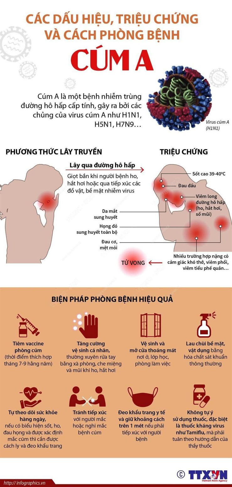CÚM A CÓ DẤU HIỆU GIA TĂNG – NGƯỜI DÂN CẦN LƯU Ý- Ảnh 1.