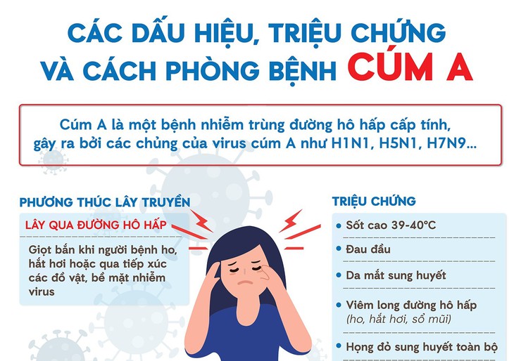 Chủ động phòng, chống dịch Cúm A - Bảo vệ sức khỏe cho bản thân và cộng đồng- Ảnh 1.