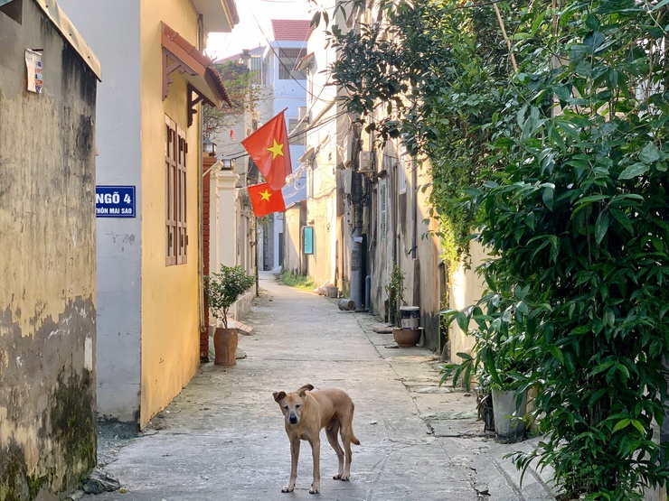 Làng văn hoá Thôn Mai Sao- Ảnh 9.