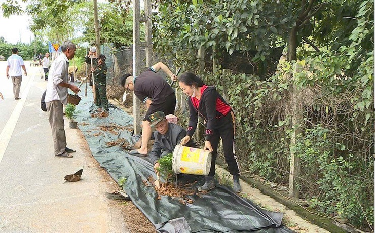 Nhân dân thôn Bướm xã hội hóa trồng tuyến đường hoa, mở rộng ngõ xóm xây dựng NTM kiểu mẫu- Ảnh 2.