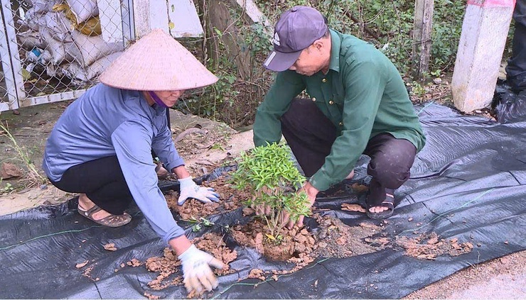 Nhân dân thôn Bướm xã hội hóa trồng tuyến đường hoa, mở rộng ngõ xóm xây dựng NTM kiểu mẫu- Ảnh 3.