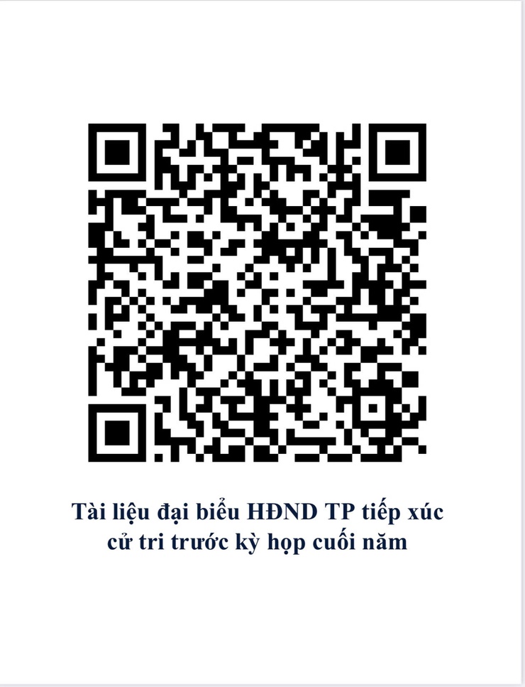 Tài liệu HĐND thành phố tiếp xúc cử tri trước kỳ họp cuối năm- Ảnh 1.