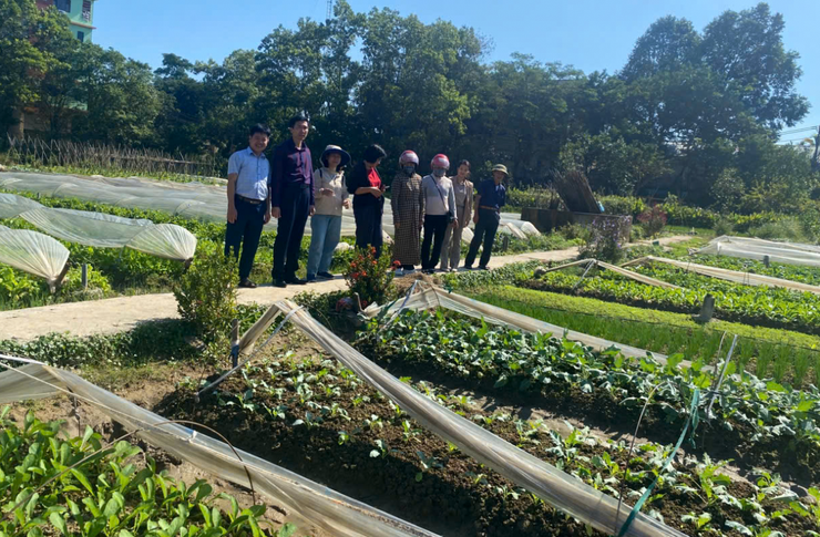Hà Nội: Xã Nội Bài tổ chức tập huấn kỹ thuật sản xuất rau hữu cơ- Ảnh 6.