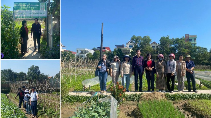 Hà Nội: Xã Nội Bài tổ chức tập huấn kỹ thuật sản xuất rau hữu cơ- Ảnh 7.